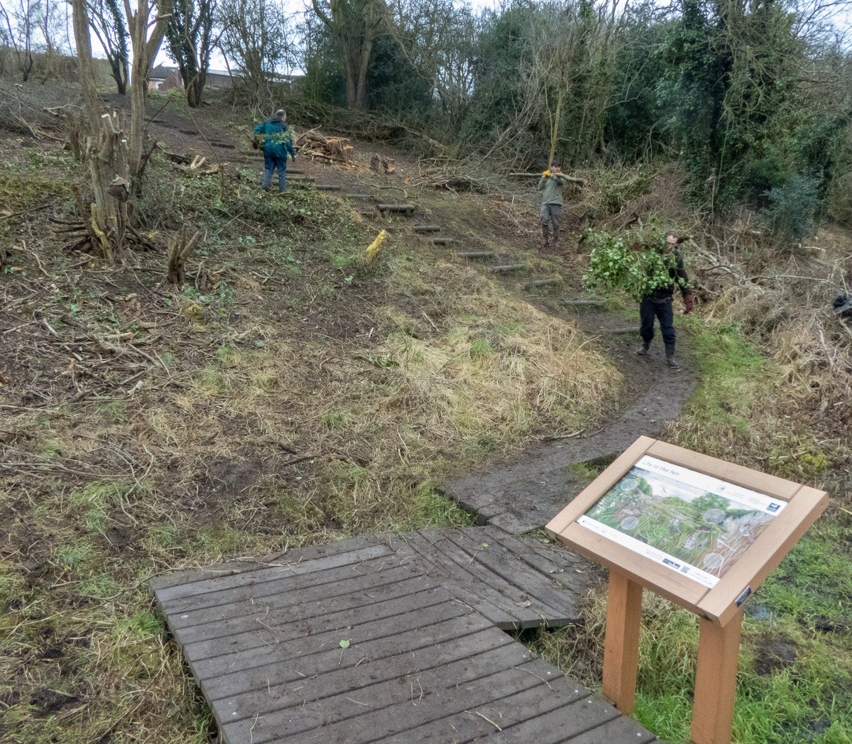 friendlyevalley's tweet photo. The normally tranquil Lye Valley became a hive of activity today, as #volunteers from @BBOWT's #WildOxford group joined us to continue our restoration of the fen. A huge thank you to everyone who gave their time and energy to this special place! https://t.co/fSAuJPA634