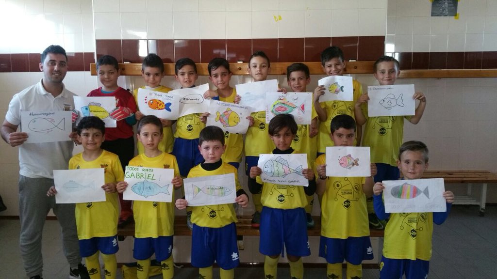 Liga Brave tweet media