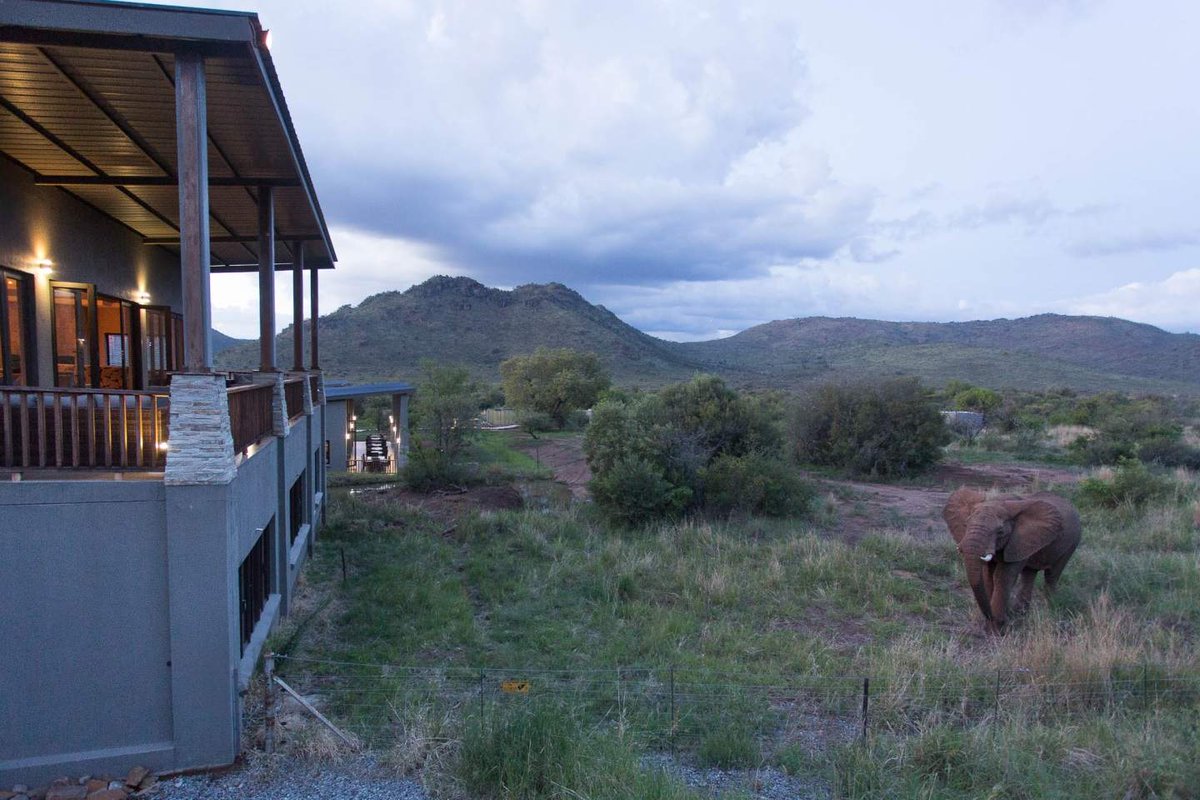 safariinsa's tweet photo. Shepherd’s Tree Game Lodge offers stunning views from every suite and a  wide range of activities in this malaria-free Big 5 park.❤️❤️
 https://t.co/GmOuwtCLes
 #safari #pilanesberg #big5 #southafrica #africa #animal #wildlife #shepherdstree #luxurytravel #travel https://t.co/LpdzE9Hod6
