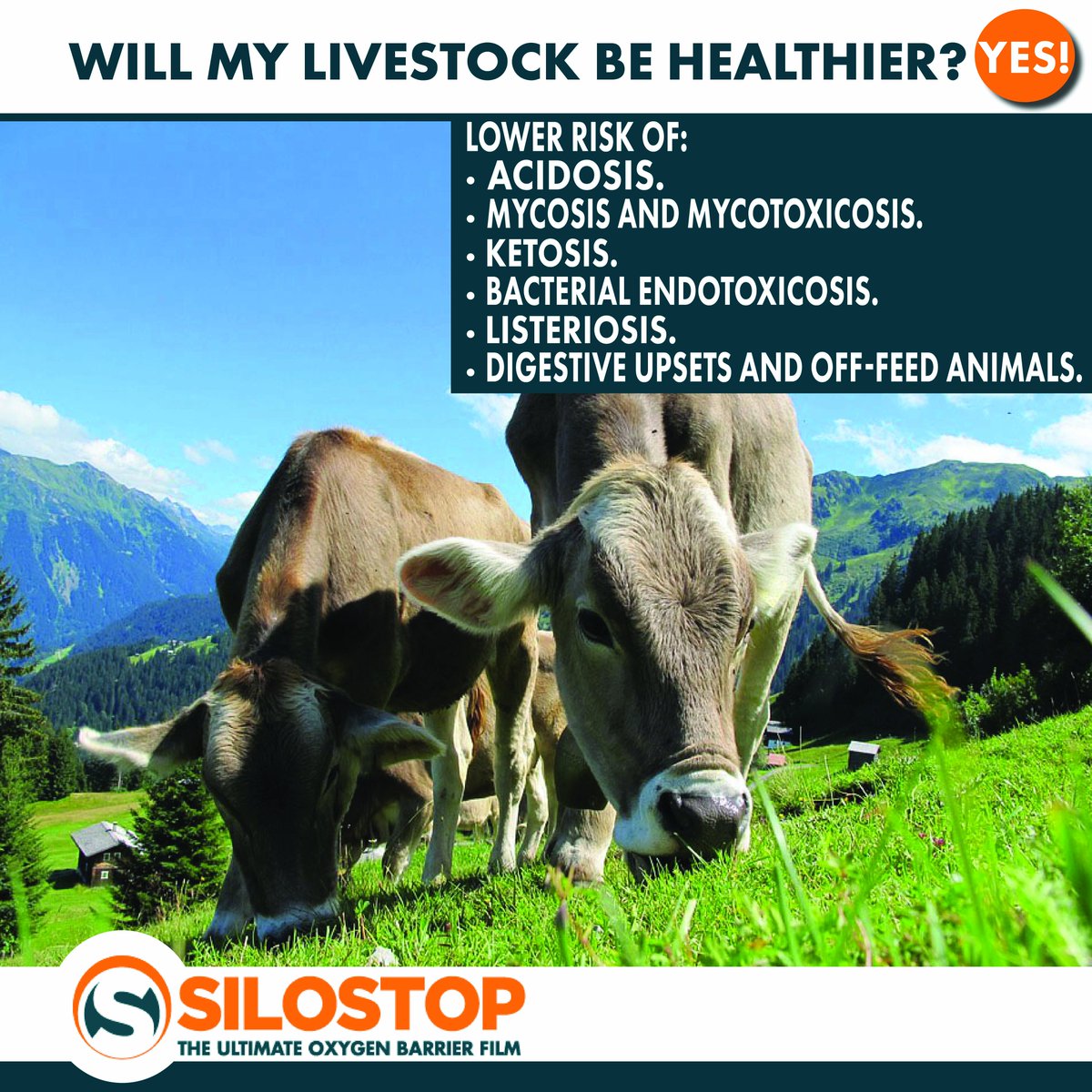 Silostop tweet picture