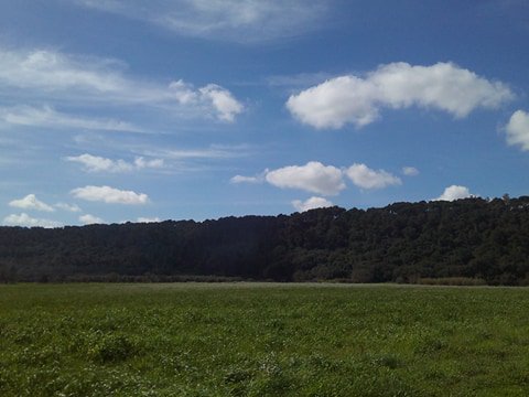 Ancora posti disponibili per questo pomeriggio. Con lo sfondo della serra di #Supersano, visitiamo il Mu.Bo, #museo che racconta la #natura dell'antico #Bosco Belvedere.  Ritrovo in piazza alle 16.30. Info 3775341053. #weekend #weareinpuglia #salento