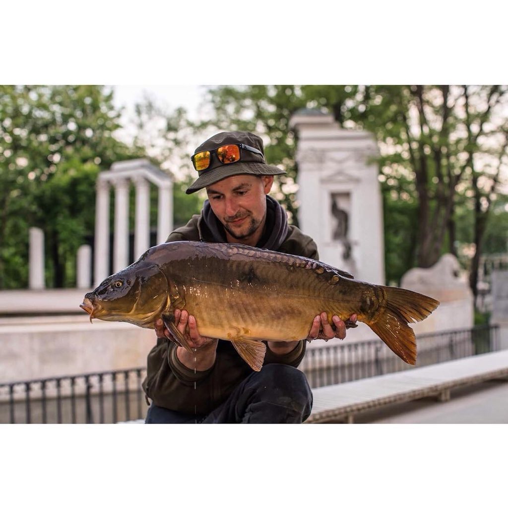Urbancarpcoll's tweet photo. βNexl Levelβ
#urbancarpcollective
π£π―πΈππ₯
#Repost @the_olicle
γ»γ»γ»
All the worlds a stage... π #EB4 #halfawrap #whatdoyoudointhebath https://t.co/VRqCt0P7eW