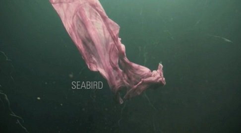 DenizciToplum's tweet photo. Genç yönetmen Ece Kınacı'nın @ecekinaci kısa filmi "Seabird", 17. Akbank Kısa Film Festivali'nde @AkbankSanat 

https://t.co/b9q7yQ4D7h https://t.co/Bece6SlcWS