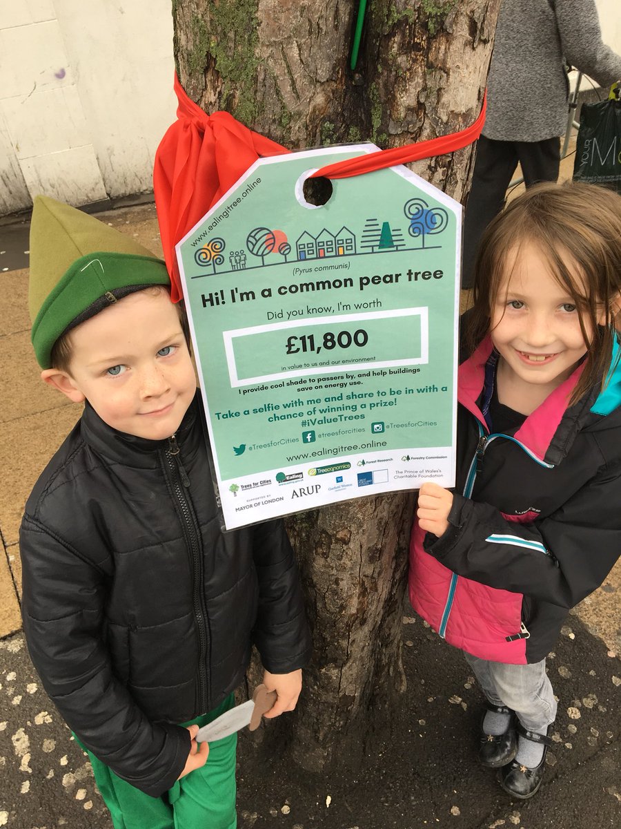 davidgefoster's tweet photo. Hello tree π² #ivaluetrees @TreesforCities https://t.co/sE4AUlmZUo