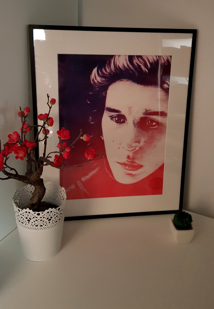 novaebesols's tweet photo. #savebensolo ❤
My friend is a very talented artist (as well as a fellow Star Wars nerd and #reylo 😁) and made me these as a gift. I am dying! These designs are also available to buy in her online store! Feel free to check out her insta @birgithesolstrand for more 😊 https://t.co/q0ZLnX9NiC