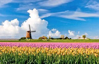 いつも明るく笑顔 マイペース
突然の病を忘れかけているぐらい
旅行を今を  楽しんでいますよ
📷📱でパチリ
美しい日本の風土情緒を
感じながら
「言葉が優しく 心から話せる
偽りのない 人 繋がりましょうね」
ゆーるりとね 
人生楽しまなきゃ
#写真好きな人と繋がりたい
＃私の自分史 ＃私の独り言ね