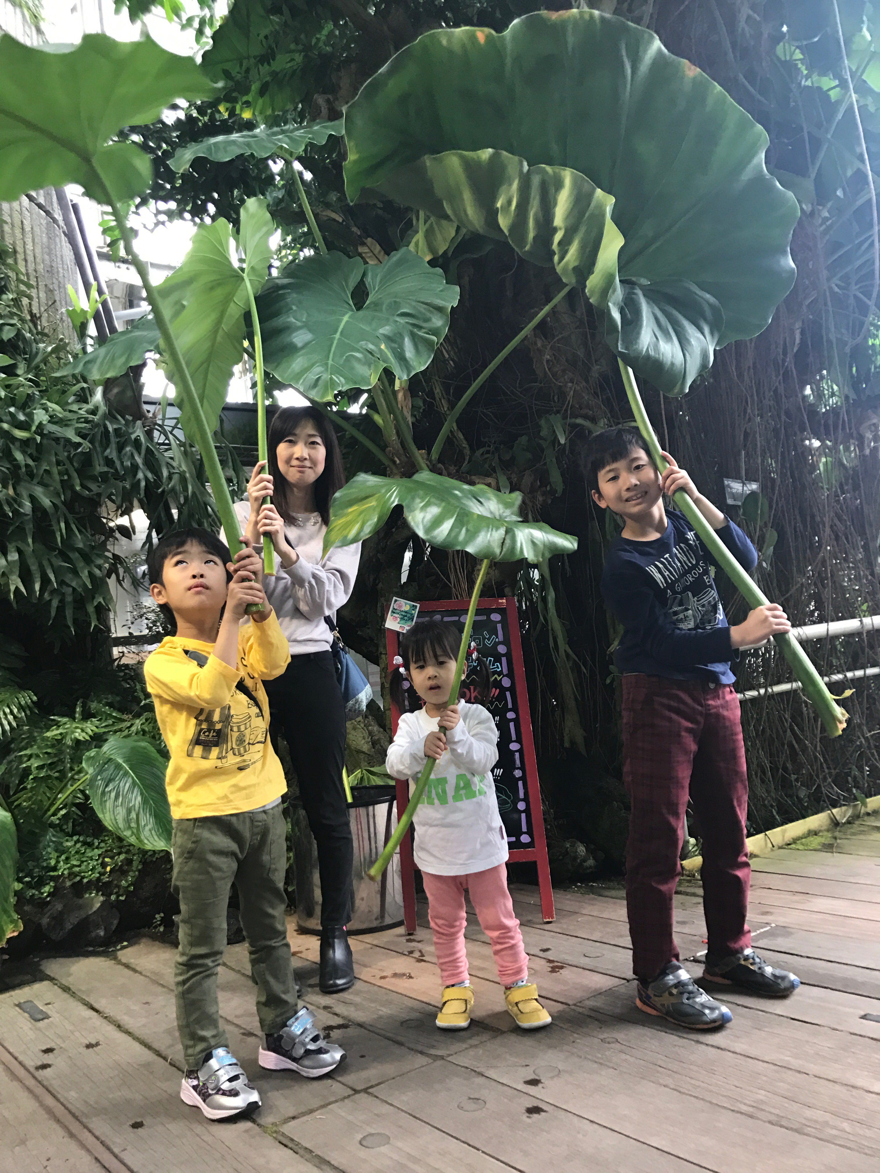 咲くやこの花館 在 Twitter 上 世界旅行に行かなくても 世界の花や植物に出会える咲くやこの花館 春の植物たちも咲きはじめ 新たなフォトスポットも登場 あなたも世界の花旅に出かけてみませんか 植物によるインスタ映えってどう 花旅 フォトスポット