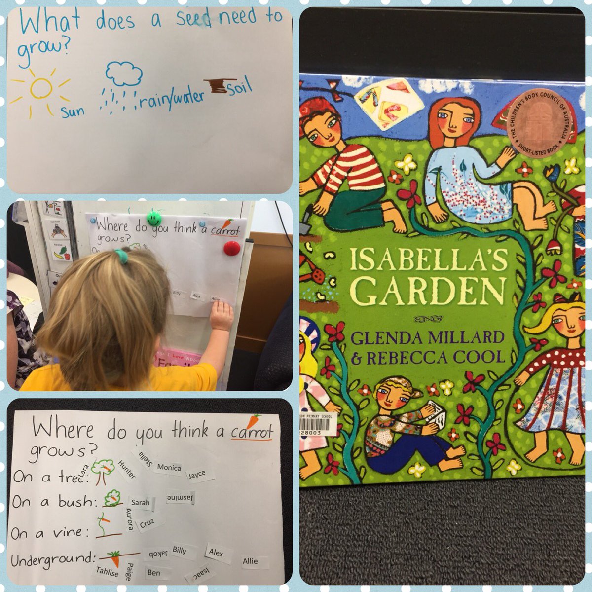 My clever Preschoolers planted seeds as part of our belonging inquiry. After reading a rich text, we brainstormed what a seed needs to grow &amp; made predictions on where carrots and beans grow. Excited for what’s next:) <a href="/AnnaWilson1973/">Anna Wilson</a> <a href="/BrookeCalvert2/">Brooke Calvert</a>