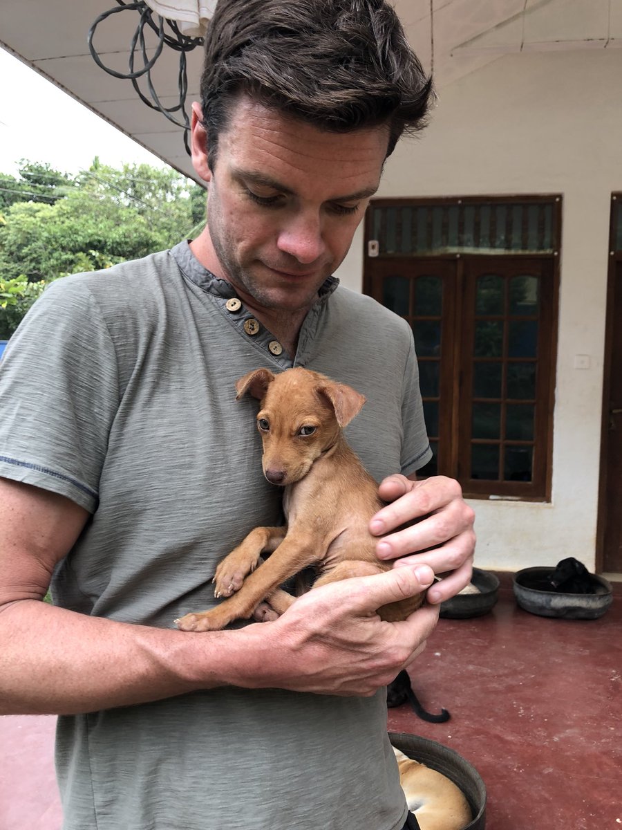 Four legged fancies tweet media