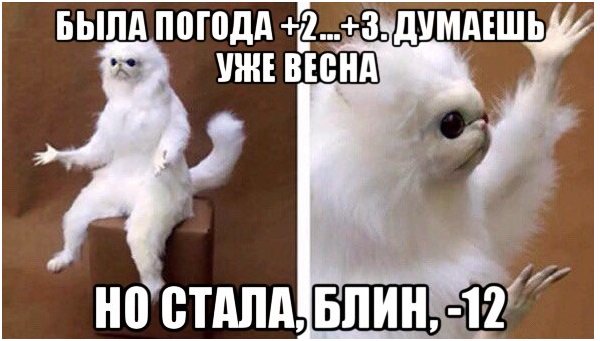 Teplodoma (@teplodoma1) on Twitter photo 