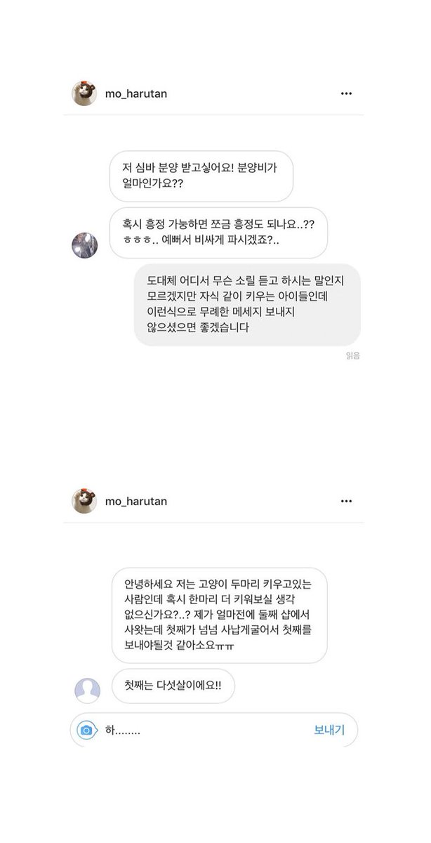 instiz's tweet photo. 인스타 유명 냥이 주인이 받은  디엠들 https://t.co/dQoUfOz0aA https://t.co/ffi7i6NXQl