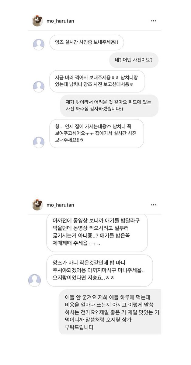 instiz's tweet photo. 인스타 유명 냥이 주인이 받은  디엠들 https://t.co/dQoUfOz0aA https://t.co/ffi7i6NXQl
