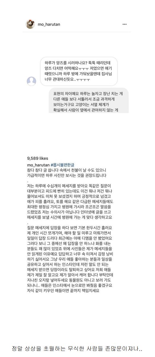 instiz's tweet photo. 인스타 유명 냥이 주인이 받은  디엠들 https://t.co/dQoUfOz0aA https://t.co/ffi7i6NXQl