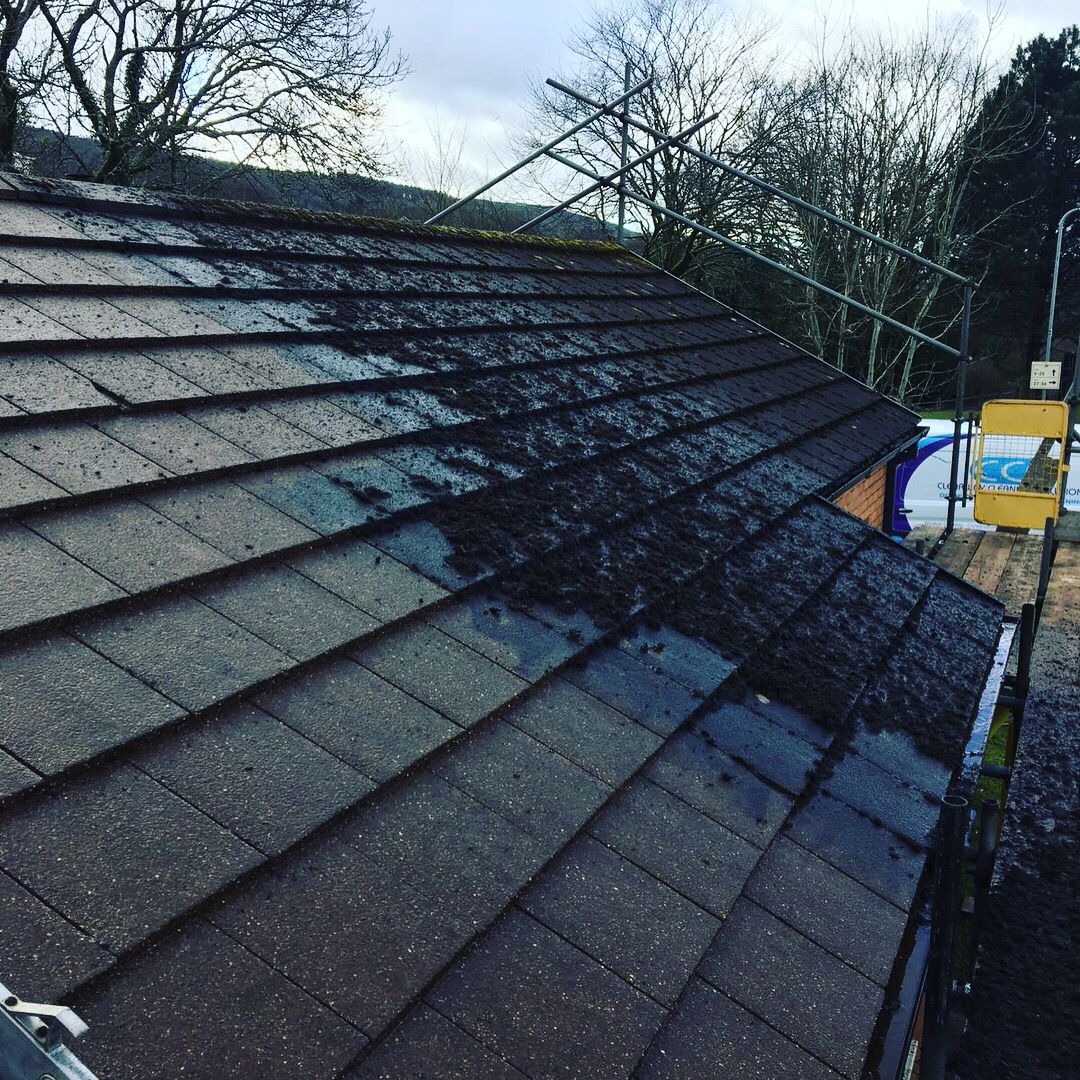 ClearwayCS's tweet photo. Nice varied end to the week with carpet and roof cleaning for the CCS team.
If you need any of our services, get in touch.

📞07800760408 
📧clearwaycleaning@gmail.com
#cleaningservices
#roofcleaning
#carpetcleaning
#southwalescleaning
#neathbusiness
#established2010 https://t.co/ALg6cdPkNK