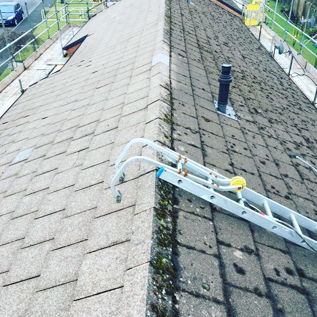 ClearwayCS's tweet photo. Nice varied end to the week with carpet and roof cleaning for the CCS team.
If you need any of our services, get in touch.

📞07800760408 
📧clearwaycleaning@gmail.com
#cleaningservices
#roofcleaning
#carpetcleaning
#southwalescleaning
#neathbusiness
#established2010 https://t.co/ALg6cdPkNK