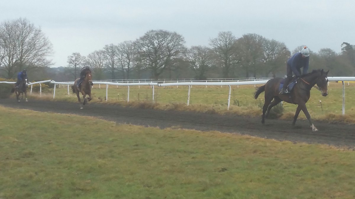 GallopingontheS's tweet photo. GOSD string working on the gallops at Cisswood this morning - Airtight, BitofBlinding, Dell Oro, Donnytwobuckets, El Hageb Rose, Fat Sam, Graasten,It's Got Legs, Larry, L'Equinox, Luck'sBoy, Kaveman,The Flying Sofa and Traffic Fluide all going through their paces #nicebunch https://t.co/9t9LaJwAR7