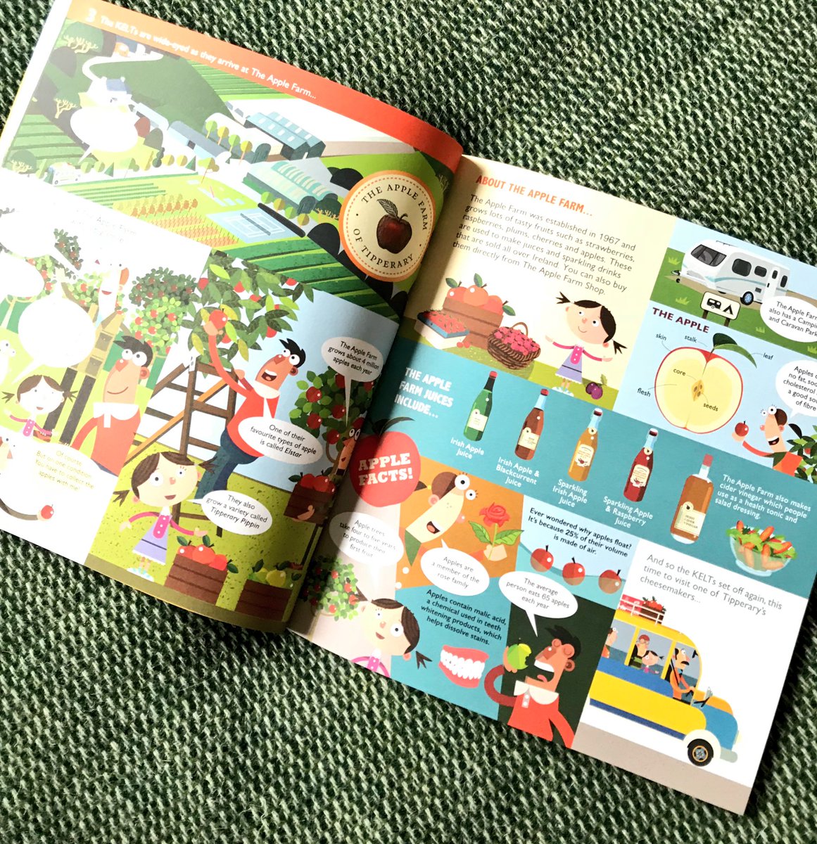 🦊 AOT 🐝 tweet media