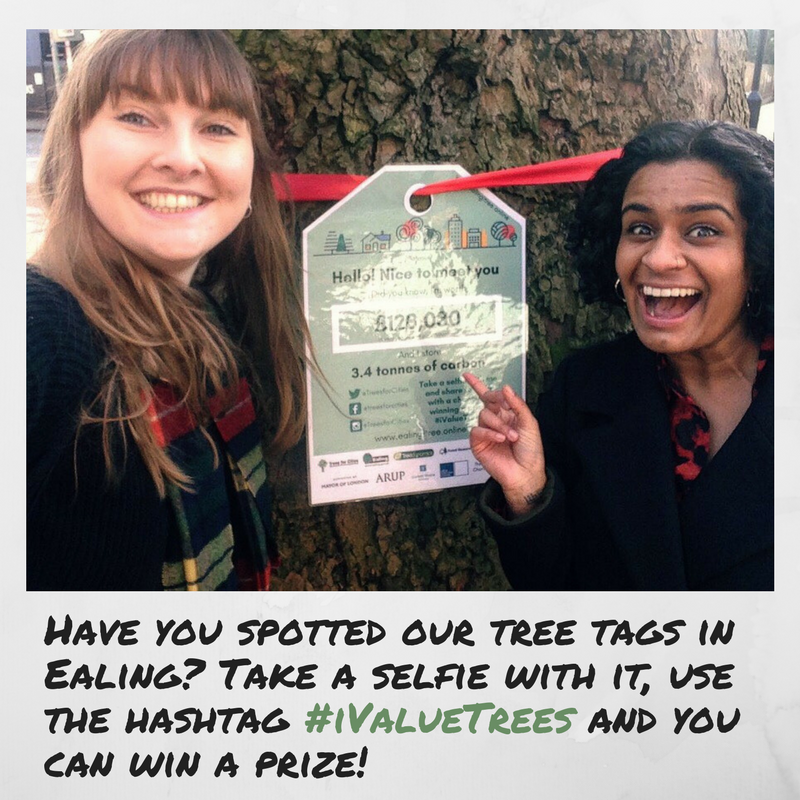 TreesforCities's tweet photo. You only have until tomorrow to spot our tree tags and join our competition! π Read more about our Ealing i-Tree study here: https://t.co/GT49of3YYK #iValueTrees https://t.co/zFZO6KSNJN