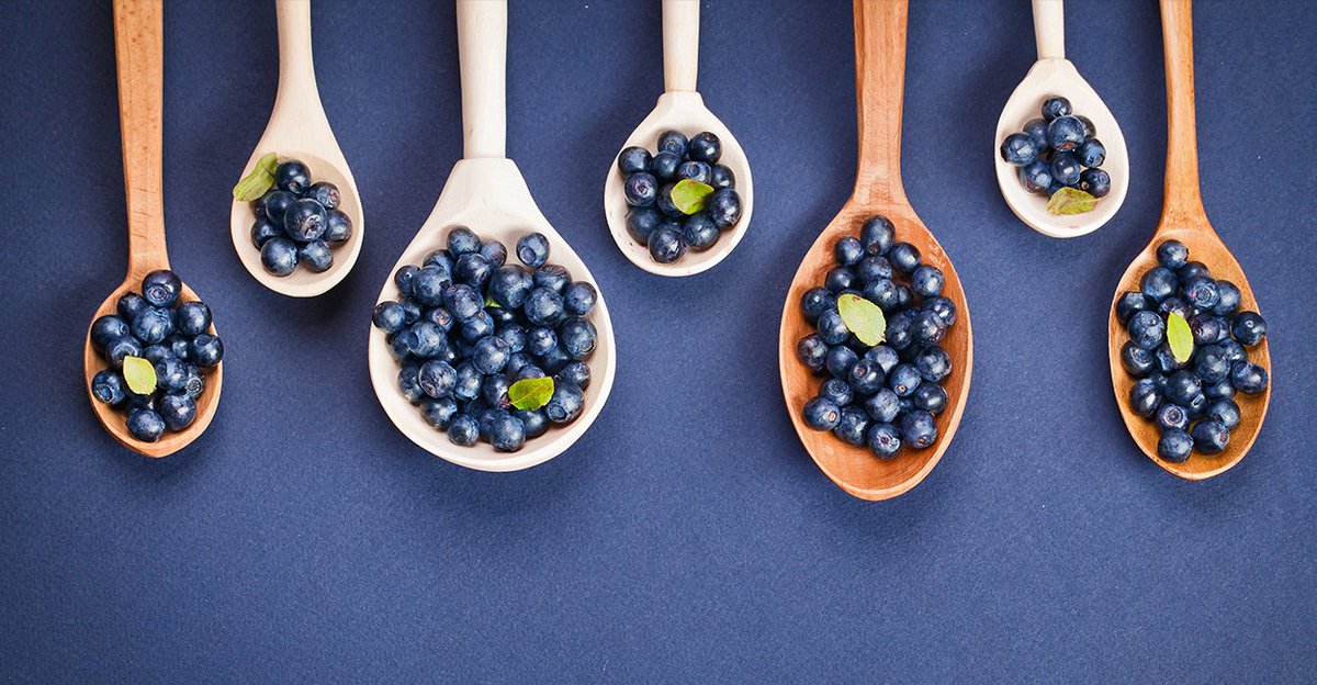 funnydogsworld's tweet photo. #dogsCan Dogs Eat Blueberries? https://t.co/IEZr8qcDFD https://t.co/GqV5NRp0e0
