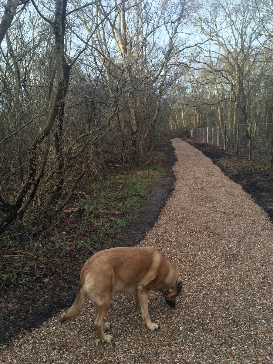 Dalecasa's tweet image. @burghhaamstede @wandelnet pad tussen #kloosterweg en #JJBoeijesweg wordt opgeknapt, geen modderpad meer!!!