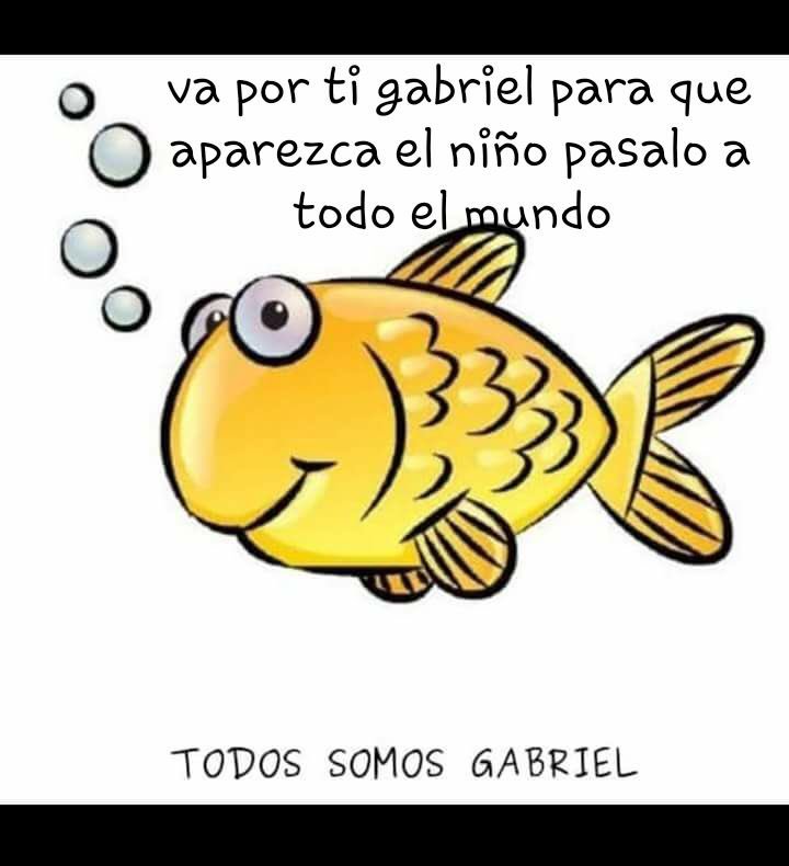 Yanuca's tweet photo. #TodosSomosGabriel https://t.co/YZRAx1YUWD