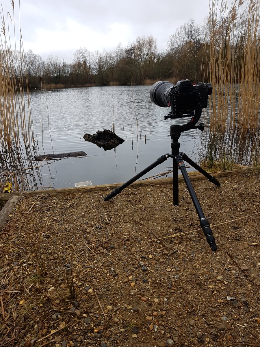 AirUKPhoto's tweet photo. My @3legged thing is great for nature photography. Allows you to get down to water level.
Will go lower still for macro work! https://t.co/4ObZekIyE9