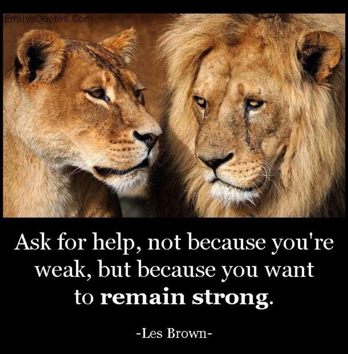 SOSullivanIE's tweet photo. The most resilient people foster the power of others which gives them great strength.
Asking for help maybe the greatest strength of all.
#Resilience #Motivation #Inspiration #InspiringExcellence https://t.co/ph9q1FjCOG