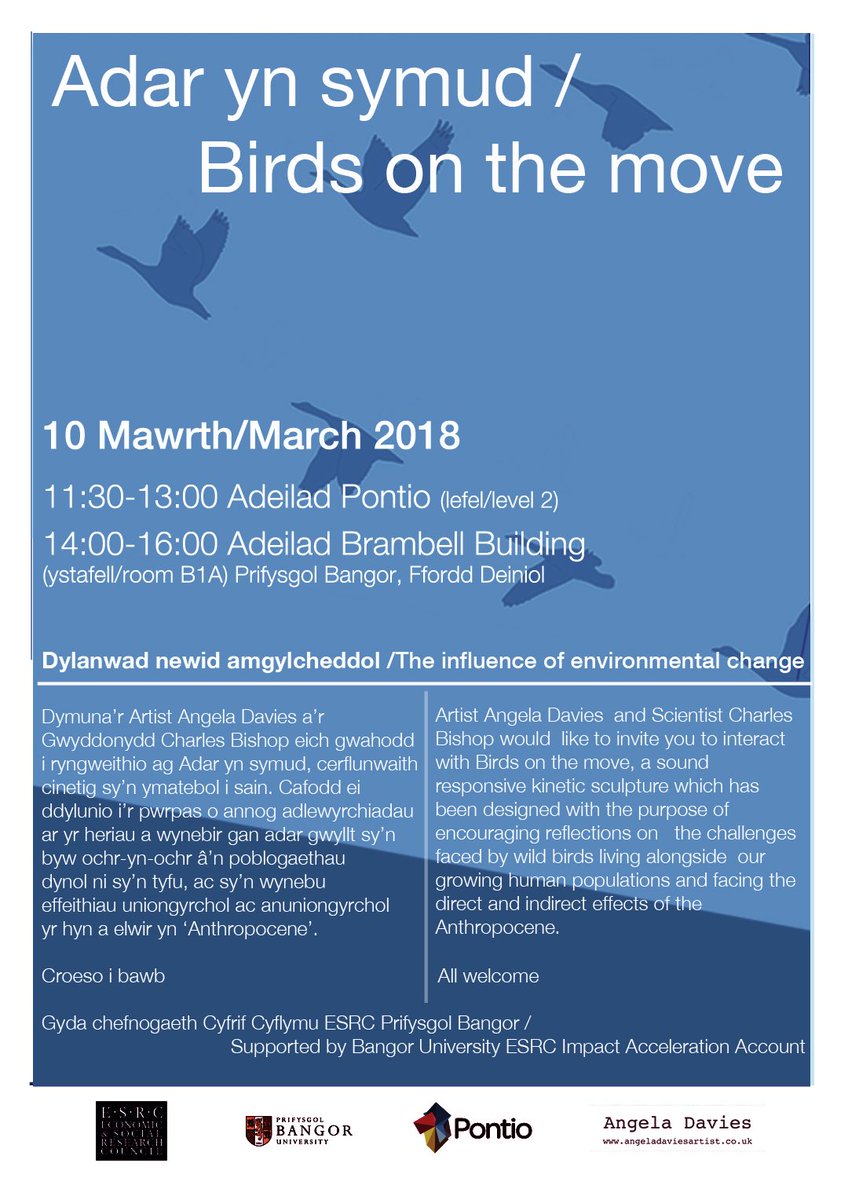 Birds_ontheMove's tweet photo. Sharing the journey so far...join #birdsonthemove @PontioTweets #bangorsciencefestival @BangorUni #artandscience #migration #climatechange #anthropocene https://t.co/LAAH8xdoXN