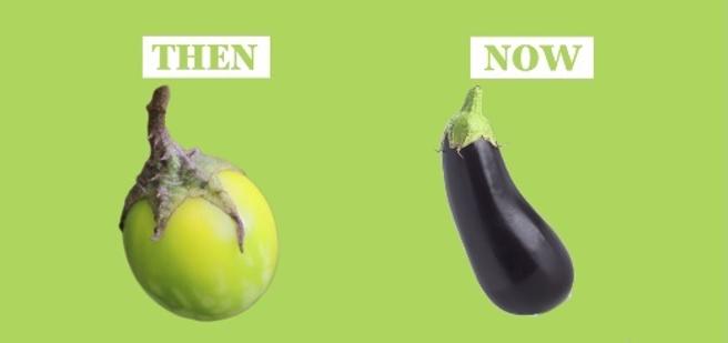 alvarosenan's tweet photo. 🌽🍆🍉🍌🥕 Lectura para el fin de semana || Un video muestra la espectacular evolución que han experimentado estos #cultivos con el paso del tiempo ➡ https://t.co/Jq2mDPfhiq por @LaVanguardia #agricultura https://t.co/t8cRrtX6XI