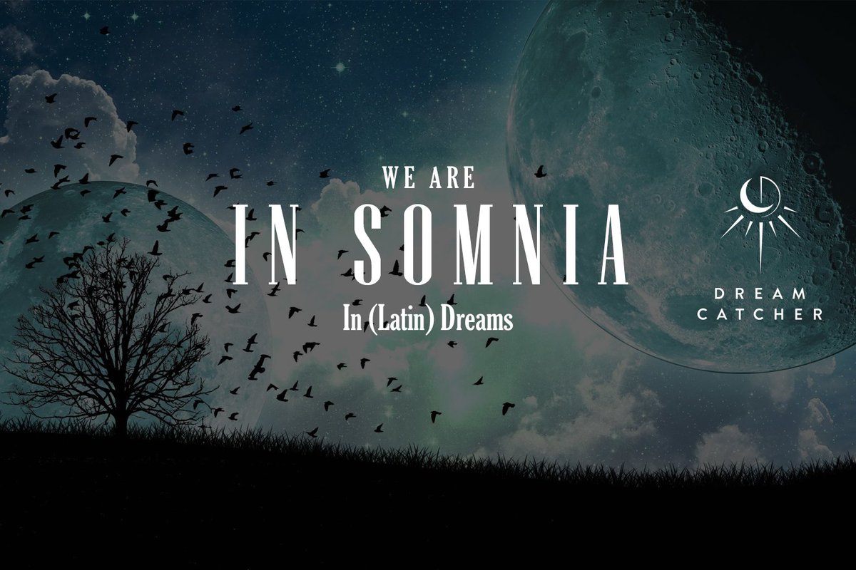 7_DREAMERS's tweet photo. #Dreamcatcher has named us In Somnia - In (Latin) Dreams
#WeAreInSomnia #NewHeaderPhoto https://t.co/Wll6KBEDUq
