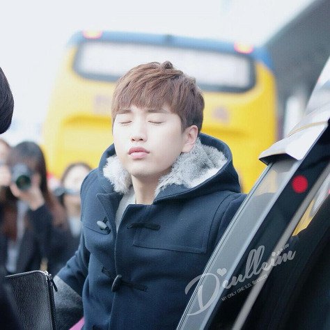 0815_0814's tweet photo. 비원에이포 졸음 담당 산들 🐥💤 https://t.co/OsG9OLLEKo