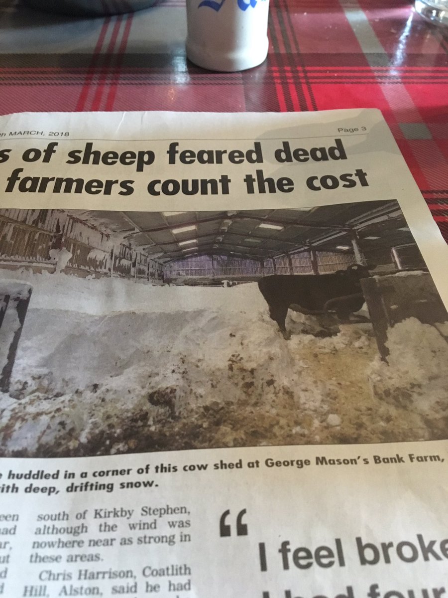 rattycastle's tweet image. @CumbriaCC in trouble ! Not plenty help even when begged !'@CWHerald  reports #Snowmageddon  #Cumbria  #eastfellside