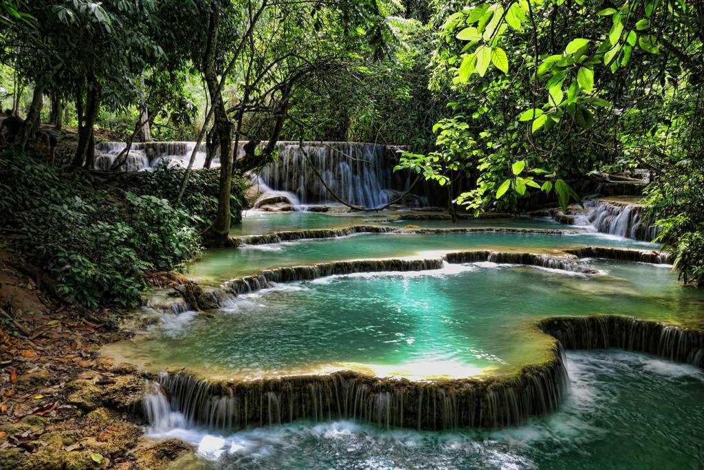NOMADasaurus's tweet photo. This is Kuang Si Falls which is just outside of Luang Prabang. 
So beautiful &amp; relaxing. #laos #travel #ttot #travel #travelphotography #photography #travelling #traveling #travelblog #travelblogger #backpacking https://t.co/94NDM6xCfg