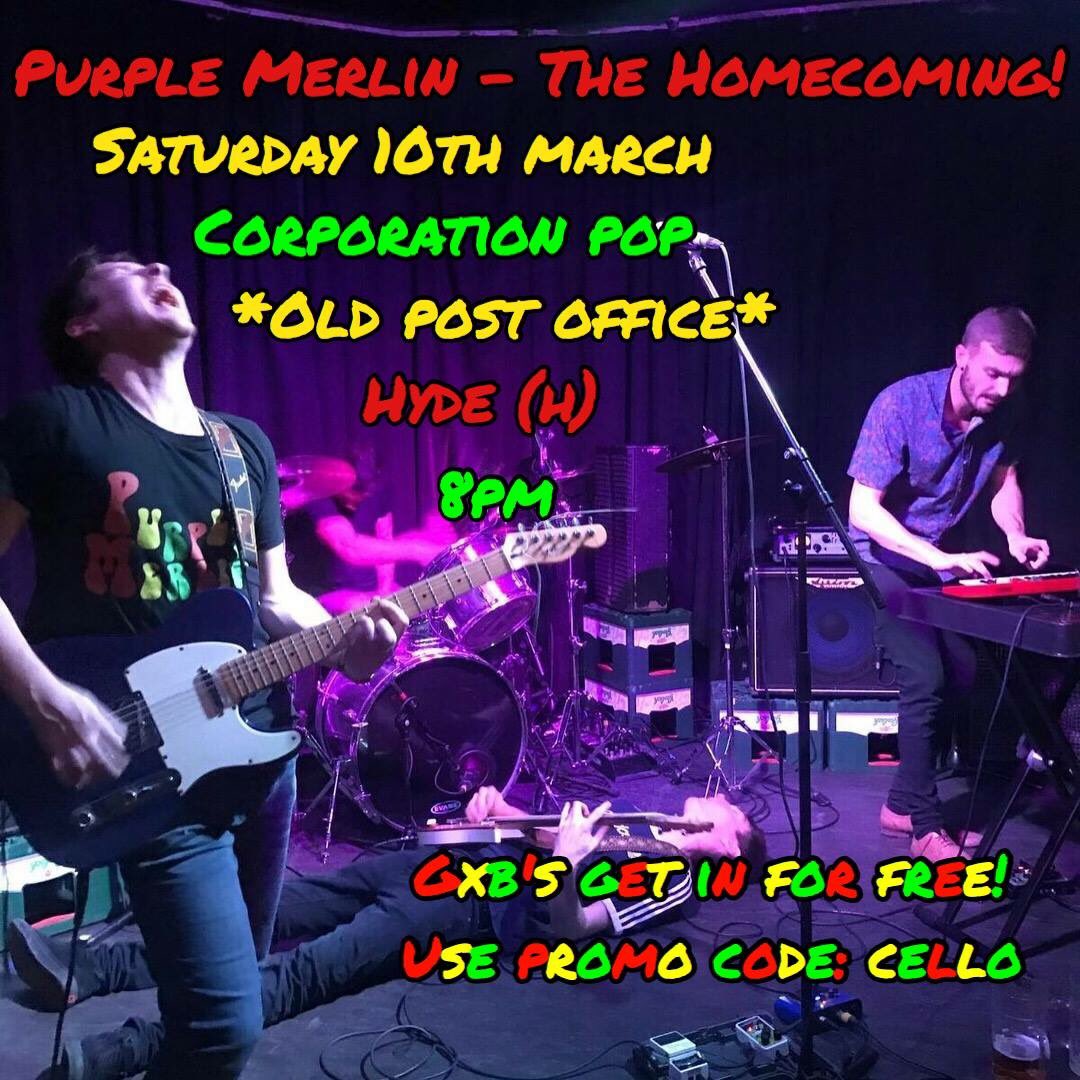 Purple Merlin tweet media