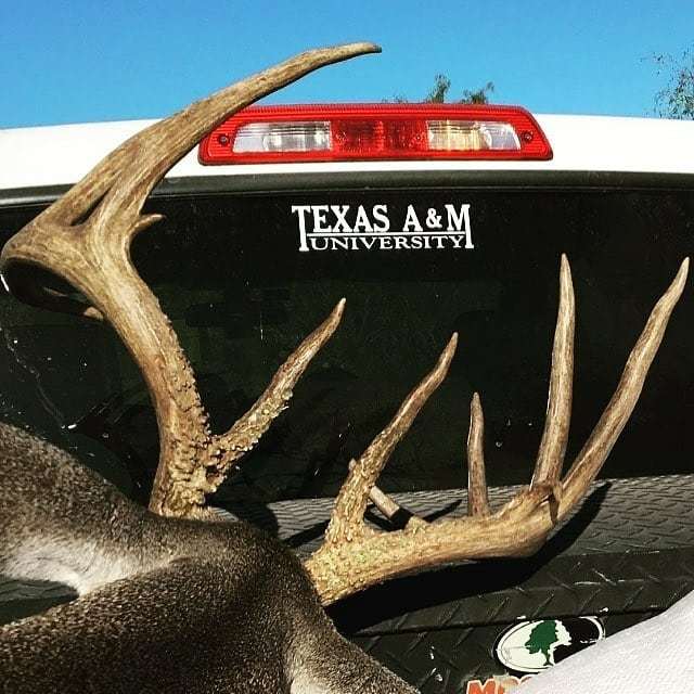 Scent_Blaster's tweet photo. Counting down the days until next season

#rackedout #scentblaster #hunting #deerhunting #hoghunting #getmorescentout #ttha #bigbuck

Repost @tamu_ttha https://t.co/RgrXBg0bAt https://t.co/iHaAnWHbHn