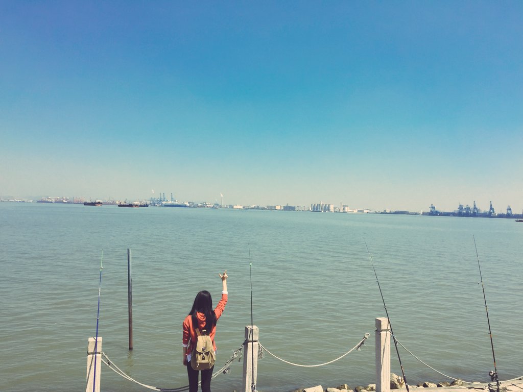 AmandaJeka's tweet photo. Gull island without gull~ it's best day for us to stay together https://t.co/YXp2Ll45G1