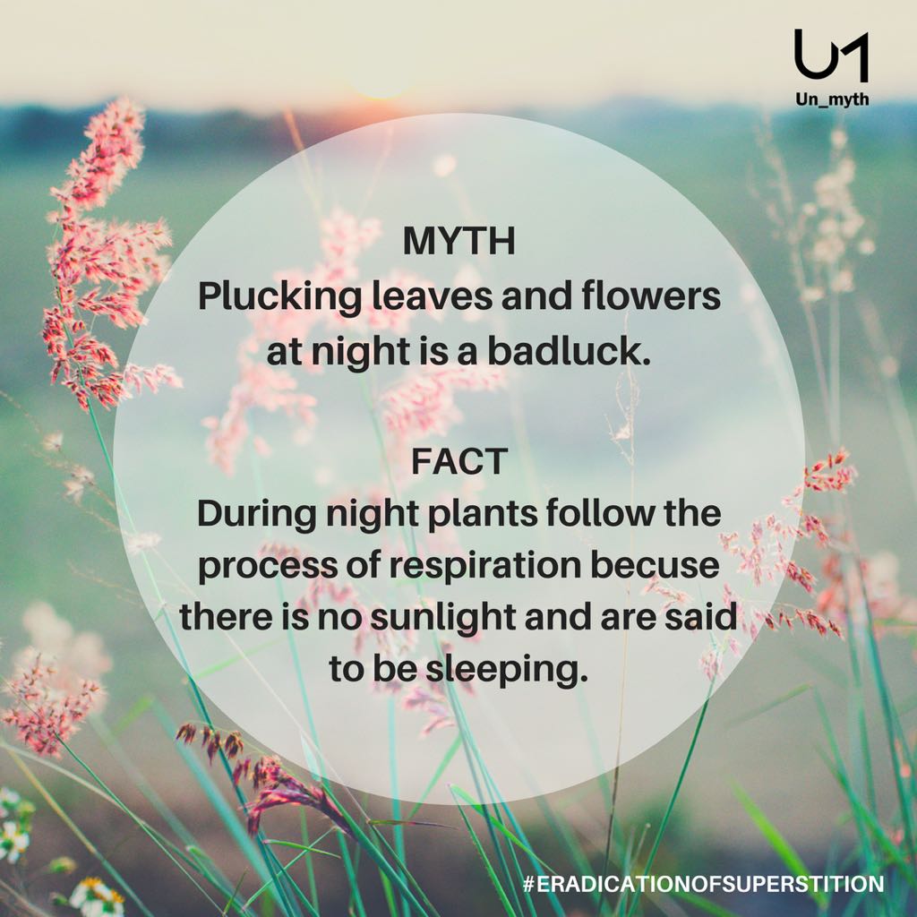 myth_un's tweet photo. Plants are natural beauty don't pluck at night but not even at day

#unmyth #superstition #eradicationofsuperstition #facts #taboo #oldwivestales  #overcomefear  #spreadawareness https://t.co/paEQKeZQq8