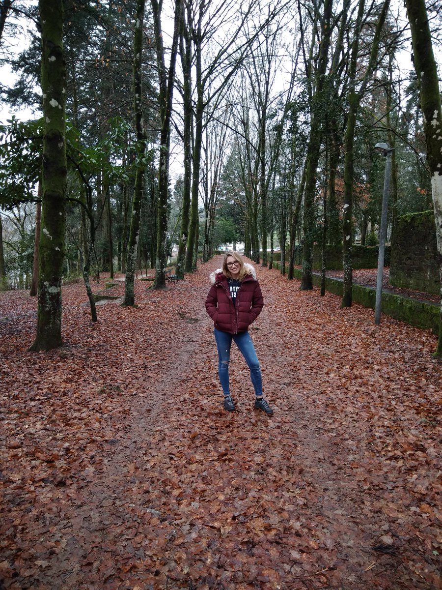 Bruno Silva tweet media