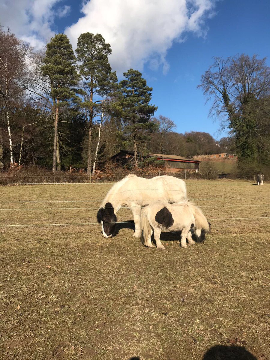 manechance's tweet photo. Timmy and mr smith- mini me! 😊 https://t.co/4GPkBTxHt8