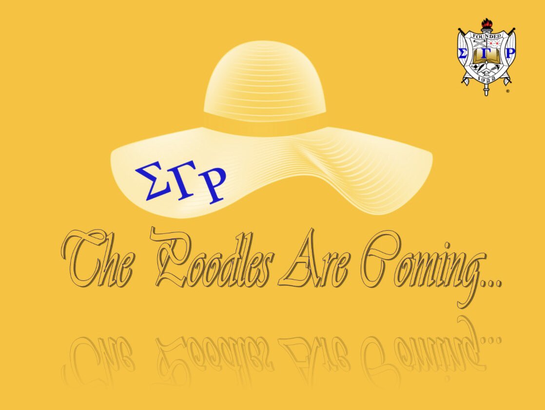 AE_SGRho's tweet photo. 💛🐩💙 https://t.co/ddtk7YTVbA