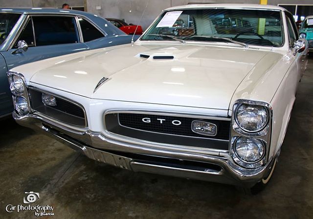 cpbyjjgarcia's tweet photo. '66 GTO @gatewayclassiccarsftl Cars and Caffeine in Coral Springs . #carphotographybyjjgarcia #66gto #66pontiacgto #pontiac #gto #goat @gtoar @gtoaa @pontiac_cars_forever @pontiac_gto_fanpage_ https://t.co/5pTWRNi2yI