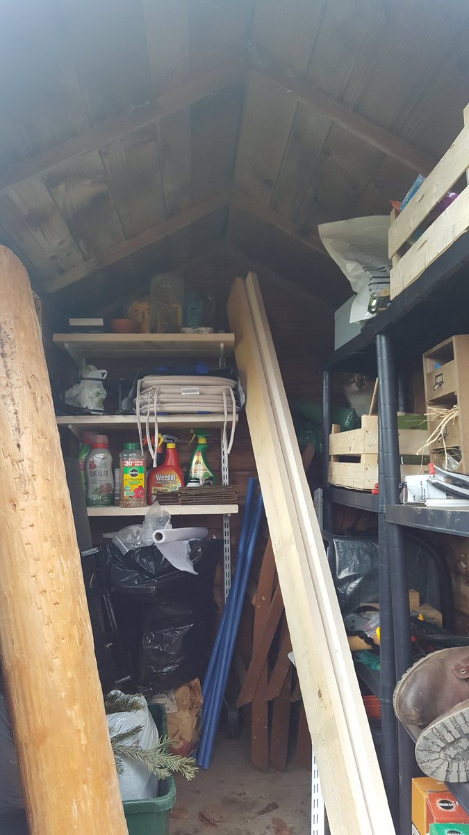 maireadm91's tweet photo. Where's our allotment cat?! #cat #hiding #allotment #noc #kitty #hideandseek https://t.co/eUXQqgWfAg