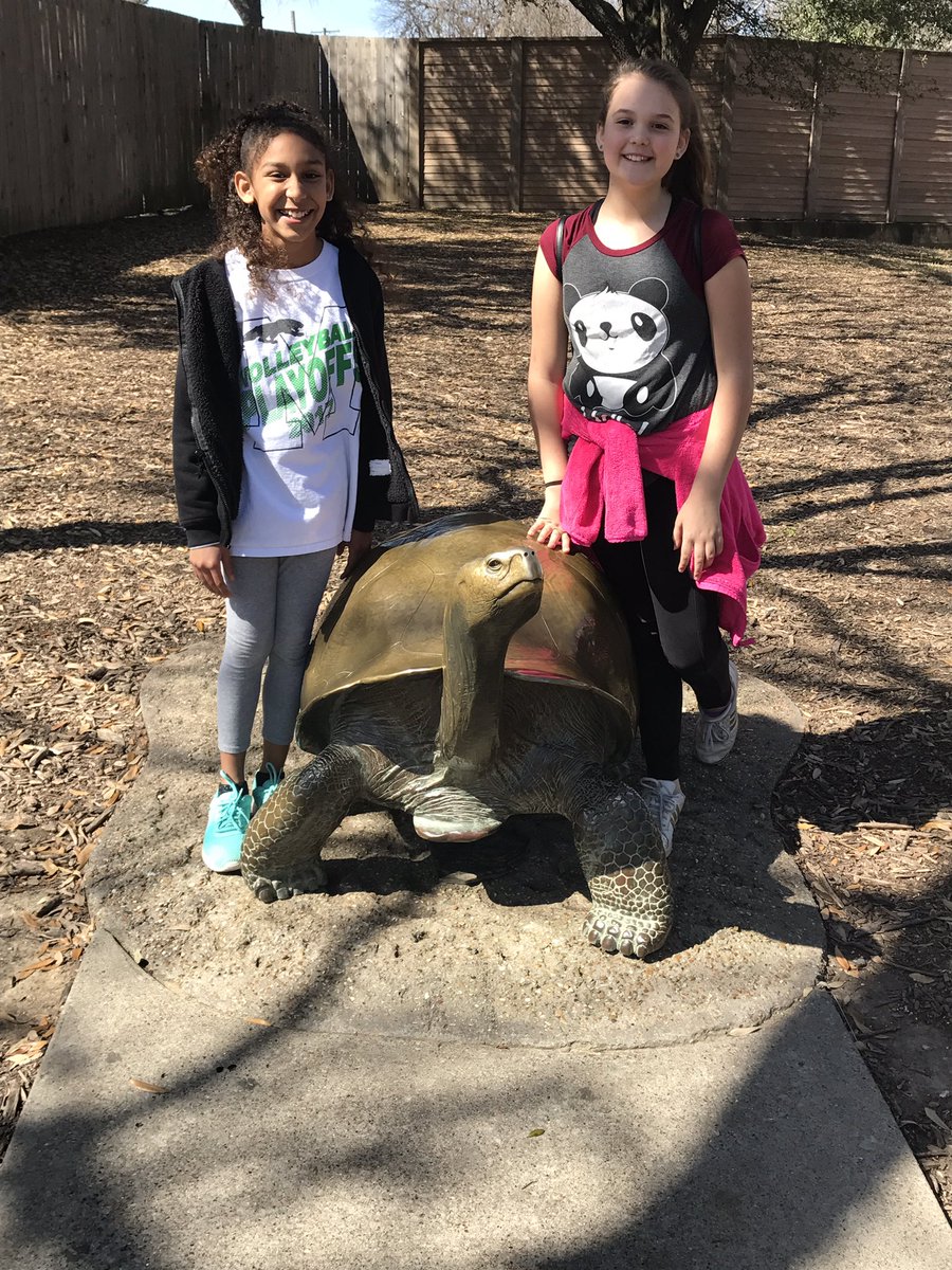 sajackson415's tweet photo. @central_mabank 4th grade field trip to the @DallasZoo was a success! https://t.co/fWhvNG6q1k