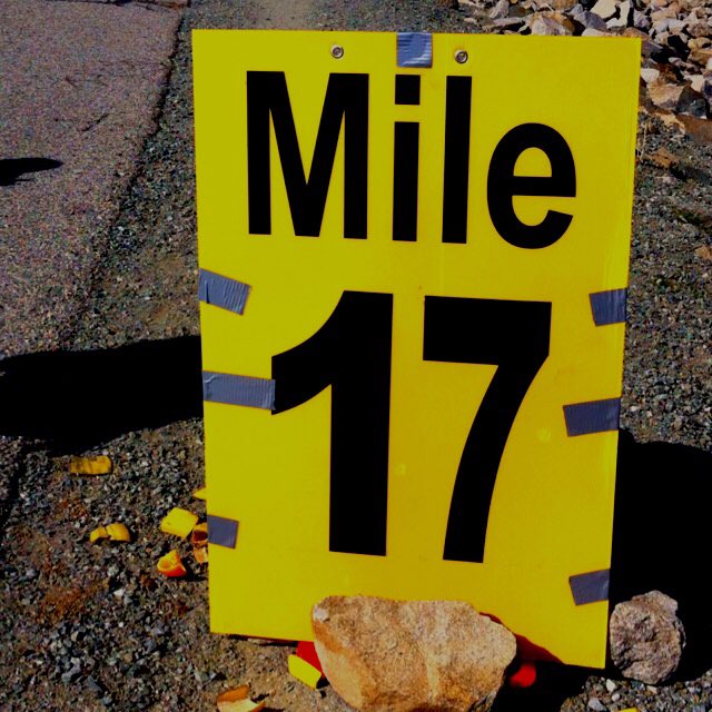 hezza123roses's tweet photo. I ran 17 miles today. 17!!!!! Now for a bit of rest before tonight’s quiz night! @APEC_UK #vlm2018 #LondonMarathon #fundraising https://t.co/rL7KIUmDWK