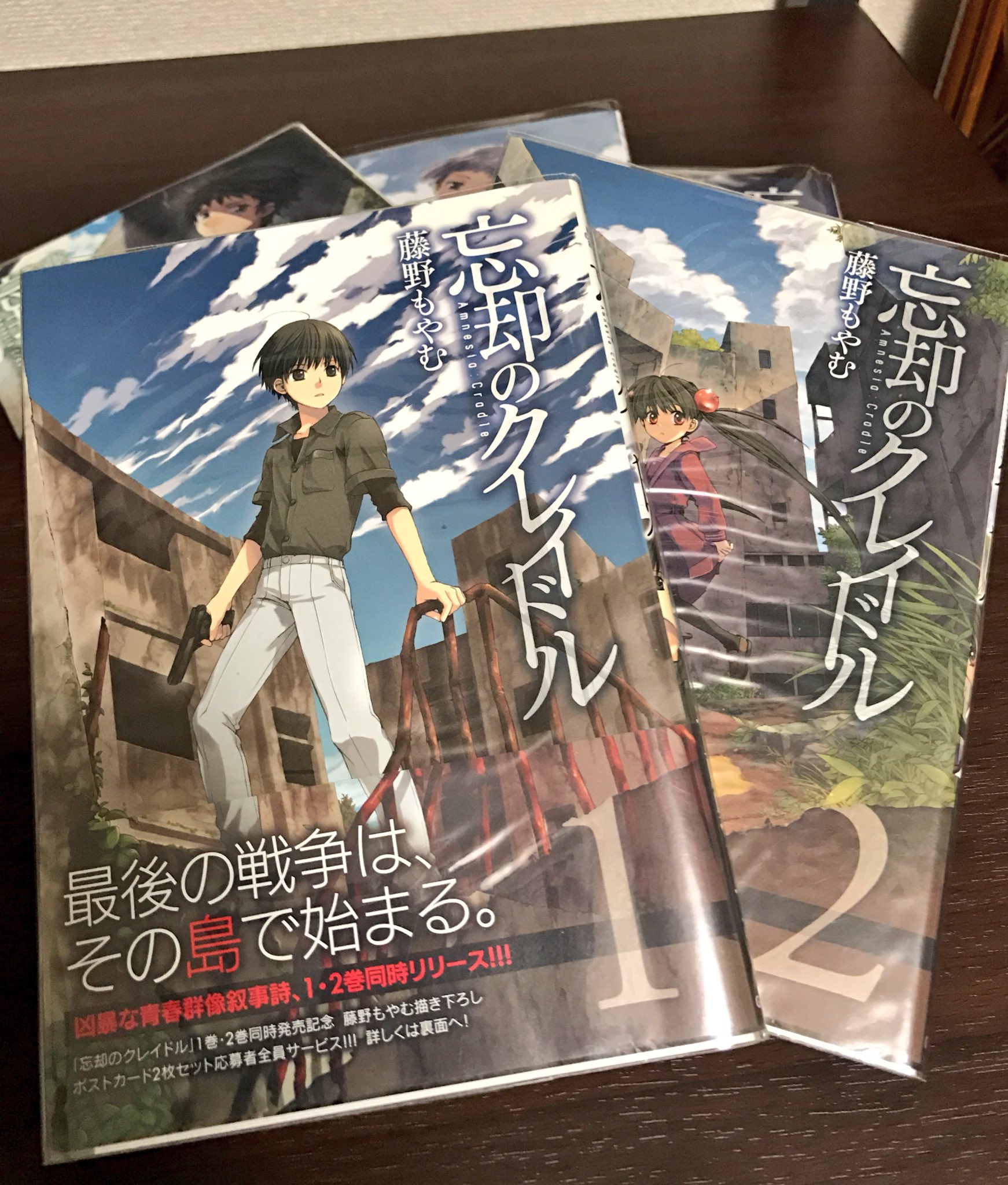 つるべん それと藤野もやむ先生の 忘却のクレイドル も しゅき １つの島で繰り広げられる切なくて悲しい少年少女達だけの生存を賭けた戦いの物語 最終回のその先もすごく気になるんだよね 動く彼らが是非見たいです 心からアニメ化して欲しい作品
