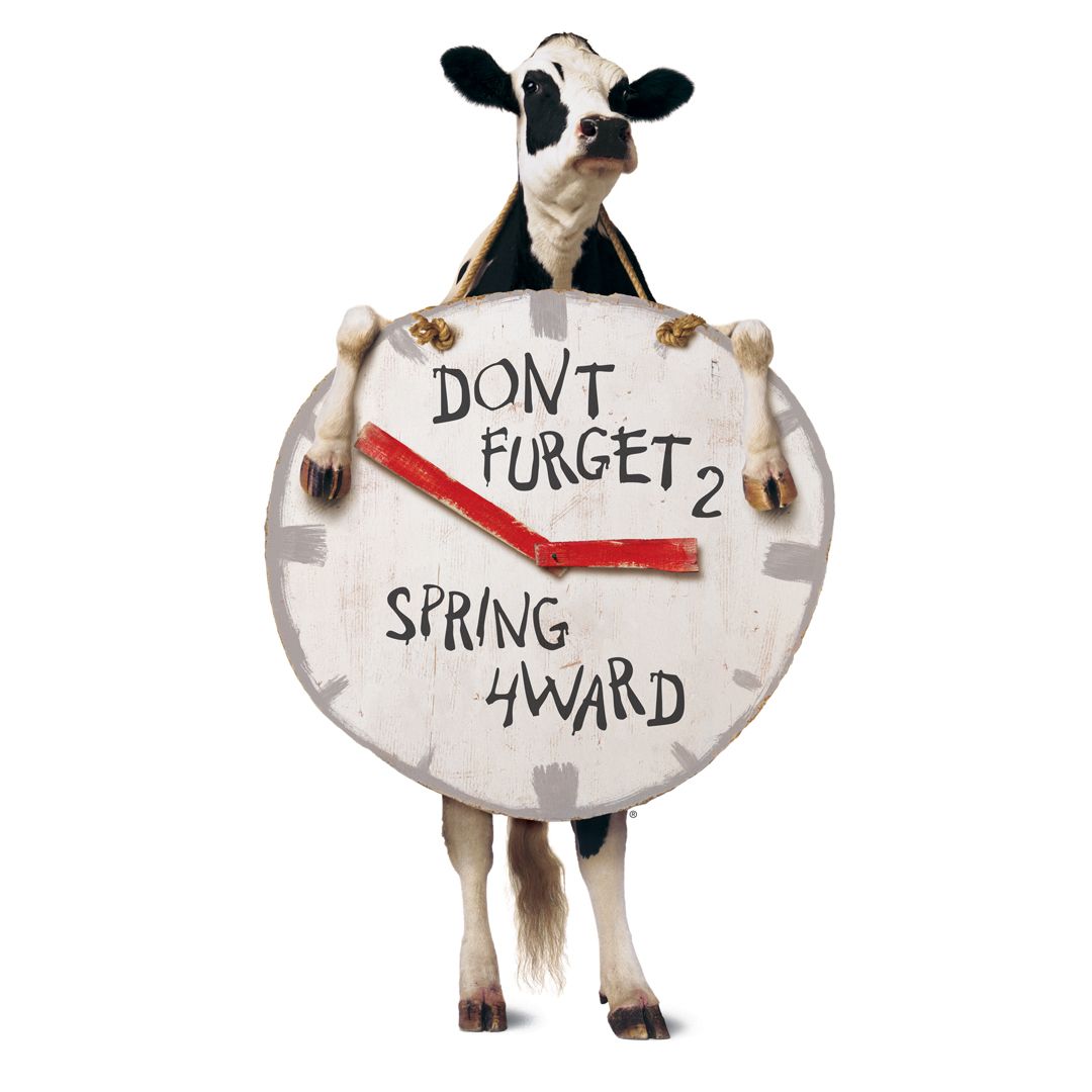 CFANMB's tweet photo. Don't forget to moo-ve your clocks an hour ahead tonight! #DaylightSavings #CFANMB https://t.co/ifYt4oSRfl