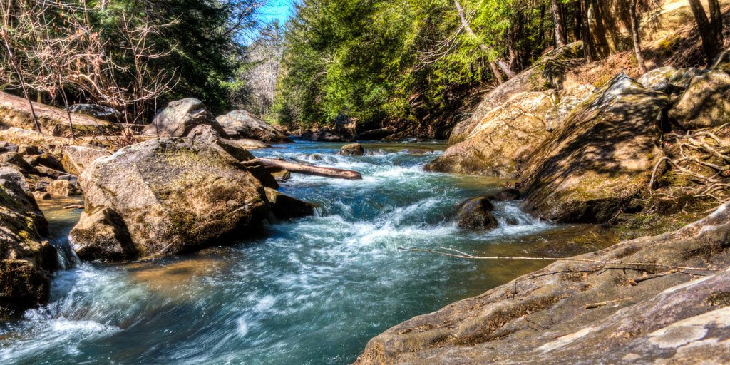 AmericanForests's tweet photo. Are you headed out to explore this weekend? Bankhead National Forest in Alabama has six unique recreation areas where you can hike, camp, picnic, fish and more. Whether you visit Bankhead or simply your own backyard, enjoy your visit to nature! #RecSpotlight 📷: Michael Hicks https://t.co/wBqByAWtvW