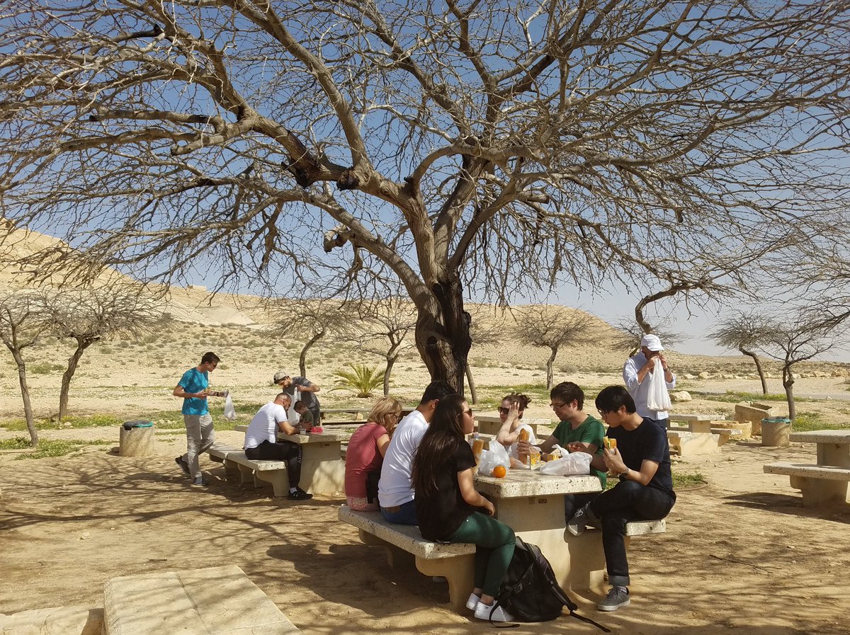 ITN_INFORM's tweet image. Check out several snapshots taken this week during the #ITN_INFORM Winter School in Negev desert (Israel)!