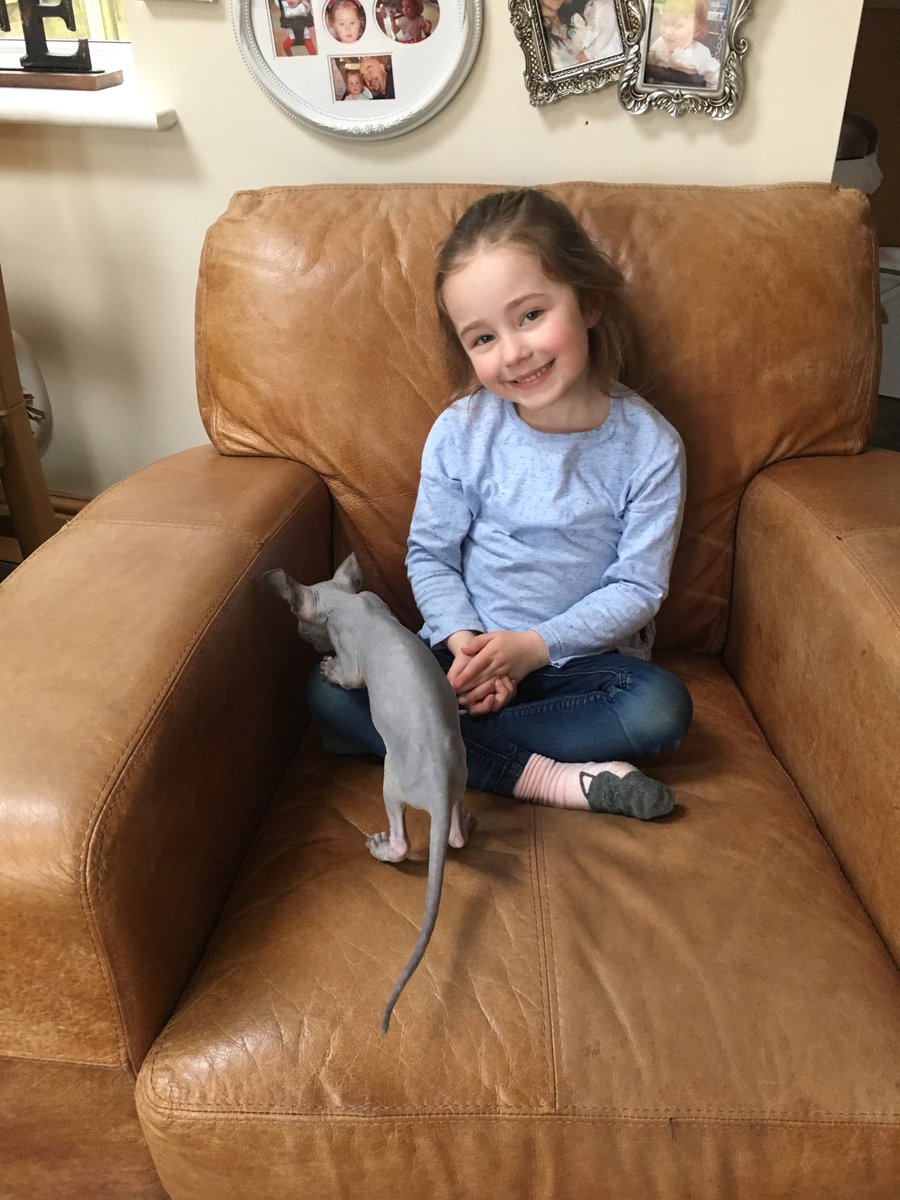 dsjonchad's tweet photo. @ClassRAspull Lydia welcomes Dave, they are already best friends 😍 https://t.co/up8bMQmWJE