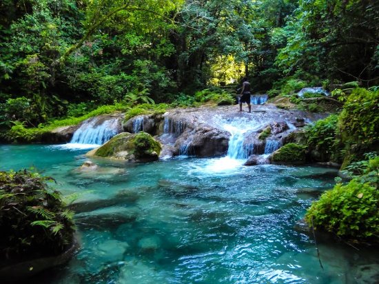 SCJHOLDINGSLTD's tweet photo. Good morning SCJH FAMILY!
Have a great weekend.
#scjh #land #landmanagement #sweetjamaica #botanicalgarden #igtravel #getaway #travelblog #travelpics https://t.co/I2RjyhiDgZ